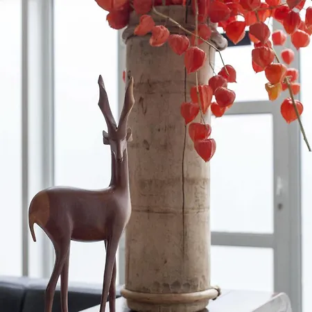 The Soul Guest house